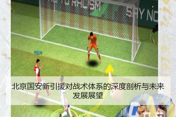 北京国安新引援对战术体系的深度剖析与未来发展展望